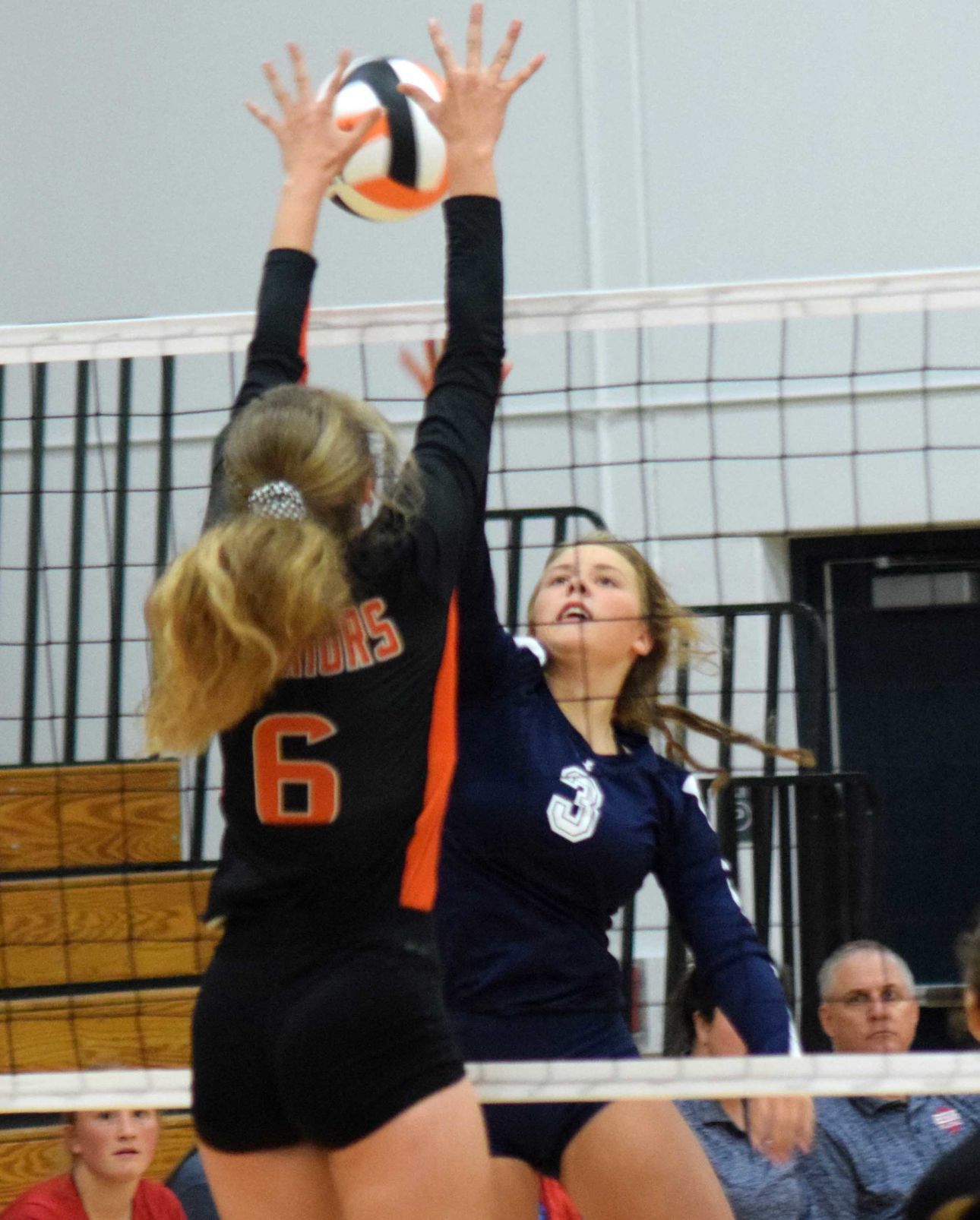 McKenzie Bestor